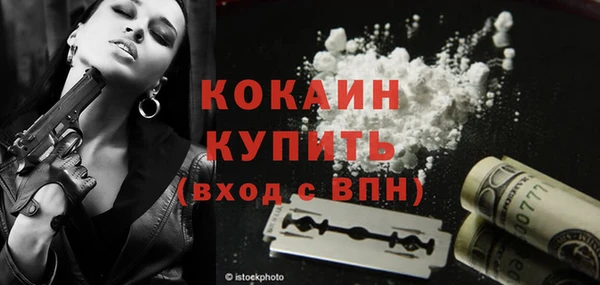 шишки Морозовск