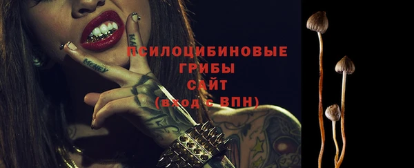 шишки Морозовск
