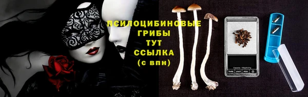 ECSTASY Абдулино