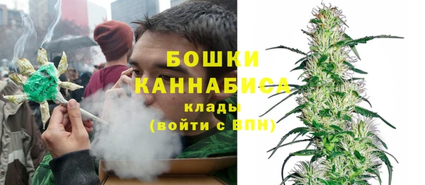 стаф Каменск-Шахтинский