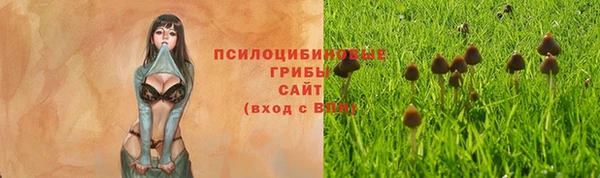 ECSTASY Абдулино