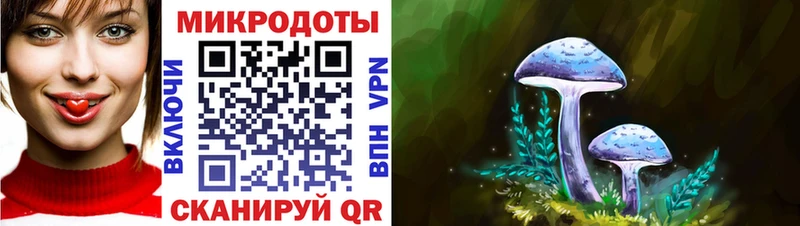 mega как войти  где можно купить наркотик  Черногорск  Галлюциногенные грибы мицелий 